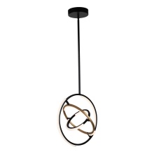 Artcraft AC6740BB - Trilogy Collection Integrated LED Pendant, Black & Brass