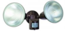 Southwire L5999BR - 120W Brush Dual Flood Light