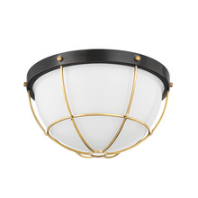 Hudson Valley MDS1501-AGB/DB - HOLKHAM Flush Mount