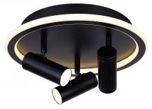 Canarm LCW314A03BK - Denver 3 Light LED Ceiling/Wall Light